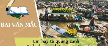 Em hãy tả quang cảnh một buổi họp chợ vùng nước nổi