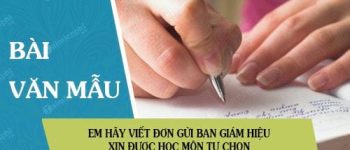 Em hãy viết đơn gửi Ban Giám hiệu xin được học môn tự chọn về ngoại ngữ hoặc tin học