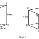 Giải bài 1, 2, 3, 4, 5, 6 trang 57, 58 SGK Toán 7 tập 1 – CTST