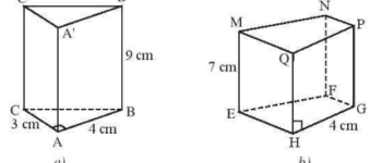 Giải bài 1, 2, 3, 4, 5, 6 trang 57, 58 SGK Toán 7 tập 1 – CTST