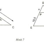 Giải bài 1, 2, 3, 4, 5  trang 58, 59 SGK toán 8 tập 2