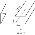 Giải bài 1, 2, 3, 4 trang 49, 50 SGK Toán 7 tập 1 – CTST