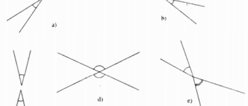 Giải bài 1, 2, 3, 4 trang 99, 100 SBT Toán lớp 7 tập 1