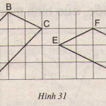 Giải bài 11, 12, 13, 14, 15 trang 74, 75 SGK toán 8 tập 1