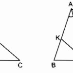 Giải bài 144, 145, 146, 147 trang 98 SBT Toán 8 tập 1