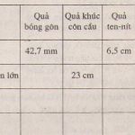 Giải bài 30, 31, 32, 33 trang 124, 125 SGK toán 9 tập 2