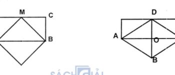 Giải bài 46, 5.1, 5.2, 5.3 trang 163 SBT Toán 8 tập 1