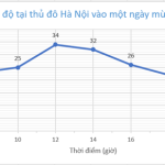 Giải bài 5.10, 5.11, 5.12, 5.13 trang 105 SGK Toán 7 tập 1 – KNTT