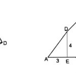 Giải bài 6.1, 6.2, 6.3 trang 164, 165 SBT Toán 8 tập 1