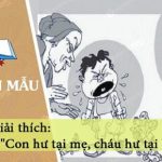 Giải thích câu “Con hư tại mẹ, cháu hư tại bà”