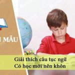 Giải thích câu tục ngữ Có học mới nên khôn