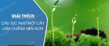 Giải thích câu tục ngữ Một cây làm chẳng nên non