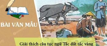 Giải thích câu tục ngữ Tấc đất tấc vàng