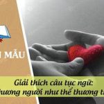 Giải thích câu tục ngữ: Thương người như thể thương thân