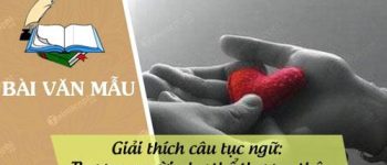 Giải thích câu tục ngữ: Thương người như thể thương thân