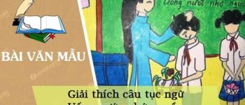 Giải thích câu tục ngữ Uống nước nhớ nguồn đạt điểm cao