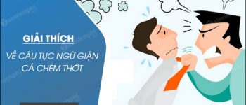 Giải thích về câu tục ngữ Giận cá chém thớt