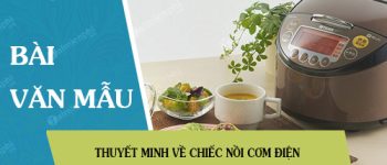 Giới thiệu về một đồ dùng trong học tập hoặc trong sinh hoạt – Thuyết minh về chiếc nồi cơm điện