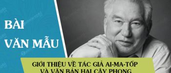 Giới thiệu về tác giả Ai-ma-tốp và văn bản Hai cây phong