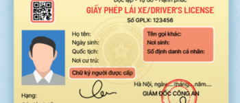 GPLX là gì? Các loại GPLX tại Việt Nam