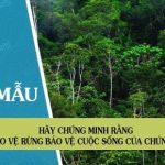 Hãy chứng minh rằng bảo vệ rừng bảo vệ cuộc sống của chúng ta