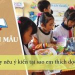 Hãy nêu ý kiến tại sao em thích đọc sách