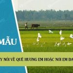 Hãy nói về quê hương em hoặc nơi em đang ở