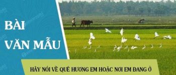 Hãy nói về quê hương em hoặc nơi em đang ở