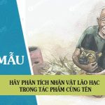 Hãy phân tích nhân vật lão Hạc trong truyện ngắn Lão Hạc