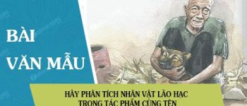 Hãy phân tích nhân vật lão Hạc trong truyện ngắn Lão Hạc