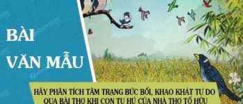 Hãy phân tích tâm trạng bức bối, khao khát tự do qua bài thơ Khi con tu hú của nhà thơ Tố Hữu