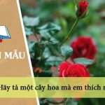 Hãy tả một cây hoa mà em thích nhất