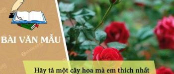 Hãy tả một cây hoa mà em thích nhất