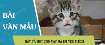 Hãy tả một con vật mà em yêu thích