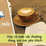 Hãy tả một vật thường dùng mà em yêu thích