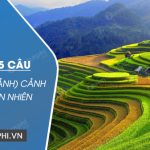 Hãy viết 4-5 câu về tranh (ảnh) cảnh vật thiên nhiên