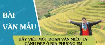 Hãy viết một đoạn văn miêu tả cảnh đẹp ở địa phương em