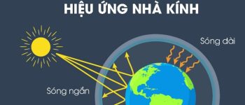 Hiệu ứng nhà kính là gì? Nguyên nhân gây hiệu ứng nhà kính