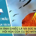 Hình ảnh chiếc lá và sức mạnh hội họa trong kiệt tác của Cụ Bơ men qua Chiếc lá cuối cùng