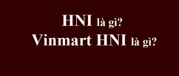 HNI là gì? VM HNI, Vinmart HNI là gì?