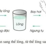 Hóa 8 bài 12: Sự biến đổi chất: Hiện tượng vật lý và Hiện tượng hóa học cúa sự biến đổi chất