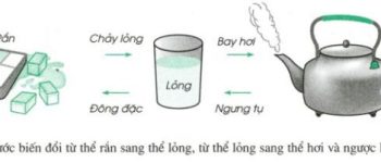 Hóa 8 bài 12: Sự biến đổi chất: Hiện tượng vật lý và Hiện tượng hóa học cúa sự biến đổi chất