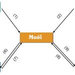 Hóa 9 bài 12: Sơ đồ mối quan hệ và dãy chuyển hóa giữa các Hợp chất Vô cơ