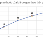 Hóa học 10 Kết nối tri thức Bài 20: Ôn tập chương 6 – Giải bài tập SGK Hóa học 10 Kết nối tri thức Bài 20