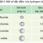 Hóa học 10 Kết nối tri thức Bài 22: Hydrogen halide, Muối halide – Giải bài tập SGK Hóa học 10 Kết nối tri thức Bài 22