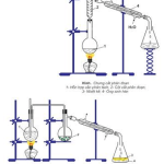 Hóa học 11 Bài 20: Mở đầu về hóa học hữu cơ – Giải bài tập SGK Hóa học 11 Bài 20