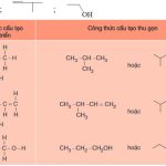 Hóa học 11 Bài 22: Cấu trúc phân tử hợp chất hữu cơ – Giải bài tập SGK Hóa học 11 Bài 22