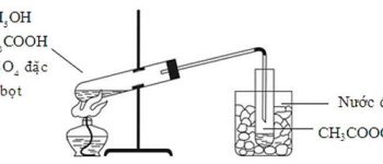 Hóa học 11 Bài 23: Phản ứng hữu cơ – Giải bài tập SGK Hóa học 11 Bài 23