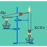 Hóa học 11 Bài 8: Amoniac và muối amoni – Giải bài tập SGK Hóa học 11 Bài 8