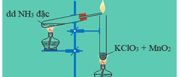 Hóa học 11 Bài 8: Amoniac và muối amoni – Giải bài tập SGK Hóa học 11 Bài 8